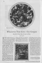 Better Homes & Gardens October 1929 Magazine Article: Wherever You Live--Try Grapes