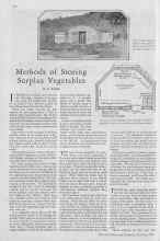 Better Homes & Gardens October 1929 Magazine Article: Methods of Storing Surplus Vegetables
