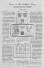 Better Homes & Gardens October 1929 Magazine Article: Come to the Garden Clinic