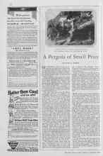 Better Homes & Gardens October 1929 Magazine Article: A Pergola of Small Price