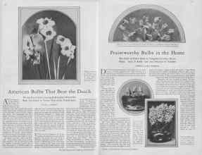 Better Homes & Gardens October 1929 Magazine Article: Page 18