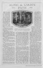Better Homes & Gardens November 1929 Magazine Article: ALONG the GARDEN PATH