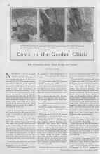 Better Homes & Gardens November 1929 Magazine Article: Come to the Garden Clinic