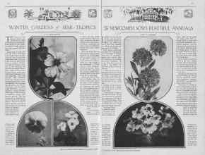 Better Homes & Gardens November 1929 Magazine Article: Page 16