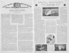 Better Homes & Gardens November 1929 Magazine Article: Page 28