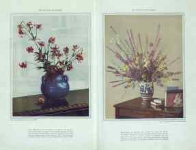 Better Homes & Gardens November 1929 Magazine Article: Page 38