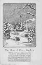 Better Homes & Gardens December 1929 Magazine Article: The Glory of Winter Gardens