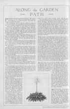 Better Homes & Gardens December 1929 Magazine Article: ALONG the GARDEN PATH