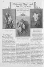 Better Homes & Gardens December 1929 Magazine Article: Christmas Plants and How They Grow