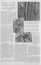 Better Homes & Gardens December 1929 Magazine Article: Come to the Garden Clinic