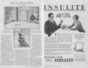 Better Homes & Gardens December 1929 Magazine Article: Page 48