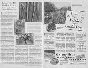 Better Homes & Gardens December 1929 Magazine Article: Page 54
