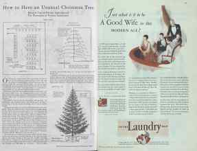 Better Homes & Gardens December 1929 Magazine Article: Page 62