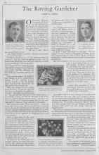 Better Homes & Gardens January 1930 Magazine Article: The Roving Gardener