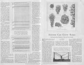 Better Homes & Gardens January 1930 Magazine Article: Page 14
