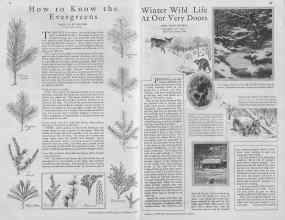 Better Homes & Gardens January 1930 Magazine Article: Page 26
