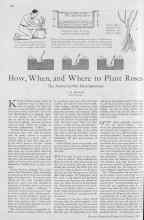 Better Homes & Gardens February 1930 Magazine Article: How, When, and Where to Plant Roses