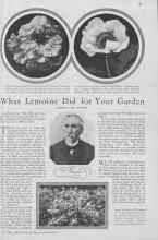 Better Homes & Gardens February 1930 Magazine Article: What Lemoine Did for Your Garden