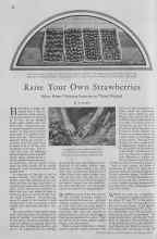 Better Homes & Gardens February 1930 Magazine Article: Raise Your Own Strawberries