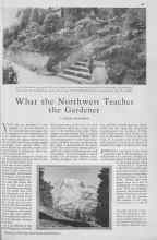 Better Homes & Gardens February 1930 Magazine Article: What the Northwest Teaches the Gardener