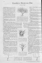 Better Homes & Gardens February 1930 Magazine Article: Garden How-to-Do