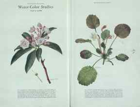 Better Homes & Gardens February 1930 Magazine Article: Page 38