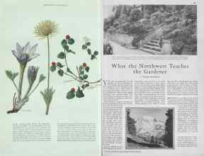 Better Homes & Gardens February 1930 Magazine Article: Page 40