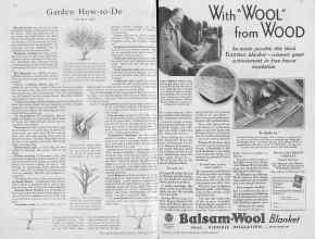 Better Homes & Gardens February 1930 Magazine Article: Page 50