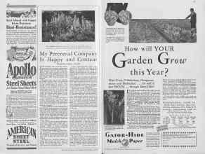 Better Homes & Gardens February 1930 Magazine Article: Page 64