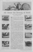 Better Homes & Gardens March 1930 Magazine Article: All About the Sowing of Seeds