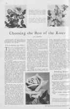 Better Homes & Gardens March 1930 Magazine Article: Choosing the Best of the Roses
