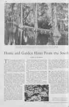 Better Homes & Gardens March 1930 Magazine Article: Home and Garden Hints From the South