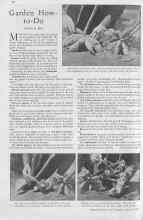 Better Homes & Gardens March 1930 Magazine Article: Garden How-to-Do