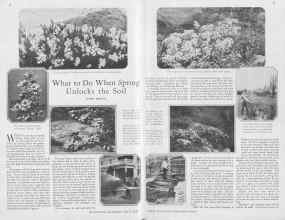 Better Homes & Gardens March 1930 Magazine Article: What to Do When Spring Unlocks the Soil