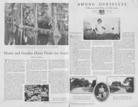 Better Homes & Gardens March 1930 Magazine Article: Page 36