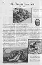 Better Homes & Gardens April 1930 Magazine Article: The Roving Gardener