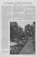Better Homes & Gardens April 1930 Magazine Article: A Garden of Blue and Gold