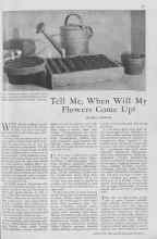 Better Homes & Gardens April 1930 Magazine Article: Tell Me, When Will My Flowers Come Up?