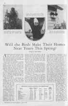 Better Homes & Gardens April 1930 Magazine Article: Will the Birds Make Their Homes Near Yours This Spring?