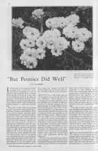 Better Homes & Gardens April 1930 Magazine Article: 