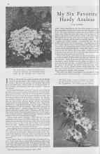 Better Homes & Gardens April 1930 Magazine Article: My Six Favorite Hardy Azaleas