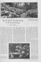 Better Homes & Gardens April 1930 Magazine Article: Acid-Soil Gardening Is Fascinating