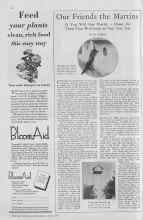 Better Homes & Gardens April 1930 Magazine Article: Our Friends the Martins
