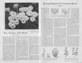 Better Homes & Gardens April 1930 Magazine Article: Page 26