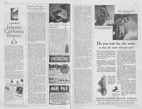 Better Homes & Gardens April 1930 Magazine Article: Page 118