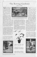 Better Homes & Gardens May 1930 Magazine Article: The Roving Gardener
