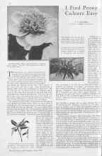 Better Homes & Gardens May 1930 Magazine Article: I Find Peony Culture Easy