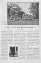 Better Homes & Gardens May 1930 Magazine Article: The Care Your Trees Require