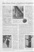 Better Homes & Gardens May 1930 Magazine Article: May Notes From a Gardener's Scrapbook