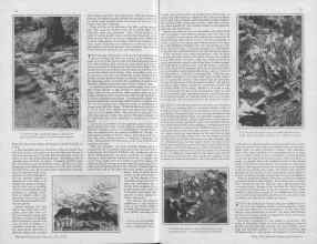 Better Homes & Gardens May 1930 Magazine Article: Page 14